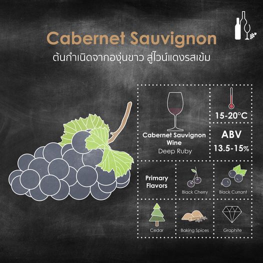 Cabernet Sauvignon ต้นกำเนิดจากองุ่นขาว สู่ไวน์แดงรสเข้ม | Universal Fine Wine and Spirits | Cabernet Sauvignon Wine | ไวน์นำเข้า